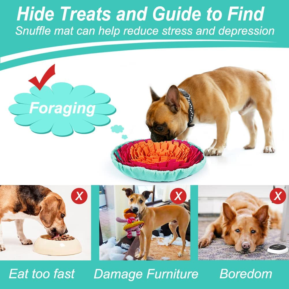 Calm Pup Kit – Snuffle Mat + Lick & Slow Feeder Bowl